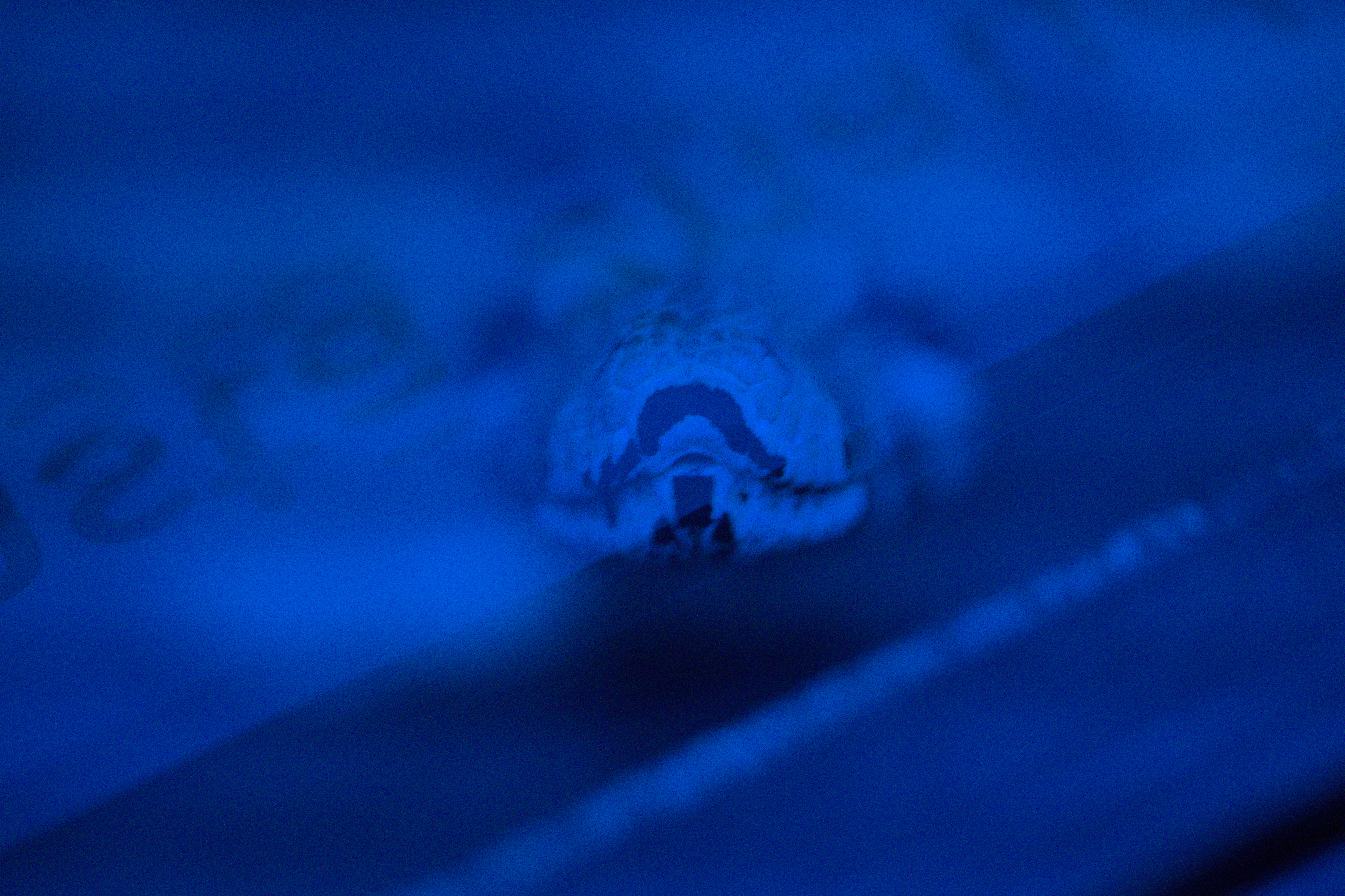 2025/10/12 - zoo/DSC_0251.jpg